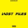 LOST FILES (Explicit)