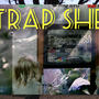 Trap sheet nigga (Explicit)
