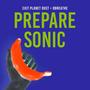 Prepare Sonic