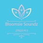 Bloomsie Soundz 2TK23, Pt. 5