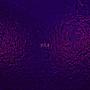 y.l.a (Explicit)
