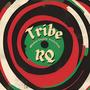 Tribe (Explicit)