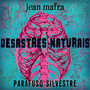 Desastres Naturais