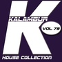 Kalambur House Collection Vol. 79