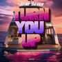 Turn You Up (Explicit)