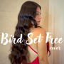 Bird set free