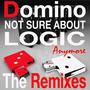 Not Sure About Logic Anymore - The Remixes