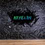 Myelin