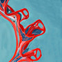 Aorta