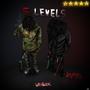 5 levels (Explicit)