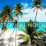 Tropical house