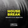 House Break (Amazing House Selection)