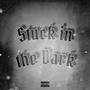 Stuck in the Dark (Explicit)