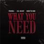 What You Need (Explicit)