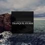 Tranquil Storm (feat. Jonathan Cestero, Jeff Wooldridge, James Suggs, Tom Brantley, Chris Rottmayer, Alejandro Arenas & Paul Gavin)