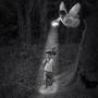 Narrow Road
