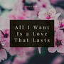 All I Want Is a Love That Lasts