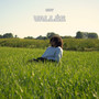 VALLÉE