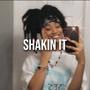 Shakin It (Explicit)