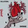 Collateral Damage (Explicit)