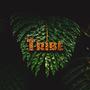 Tribe