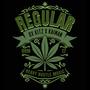 REGULAR (feat. OX KITZ & KAIMAN) [Explicit]