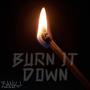 Burn It Down