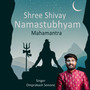 Shree Shivay Namastubhyam Mahamantra