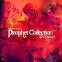 Prophet Collection, Vol. 3 (Divine World Vibrations)