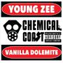 Chemical Coast (feat. Young Zee) [Explicit]