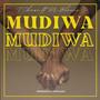 Mudiwa (feat. Dr blacks)