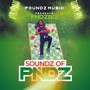 Soundz Of Pndz