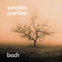 Bach: Violin Sonatas & Partitas