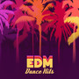 EDM Dance Hits – L.A. Beach Music, Tropical Vibes, Chillout & Hip Hop Mix