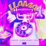Llama (feat. momo siordia & VANI) [Explicit]