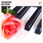 Shadow Bloom: Solo Piano Playlist