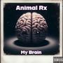 My Brain (Explicit)