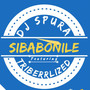 Sibabonile (feat. TRIberrLized) [Explicit]