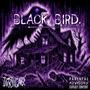 BLACK BIRD (Explicit)