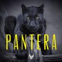 Pantera (Explicit)