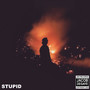 Stupid (Explicit)