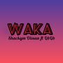 Waka (feat. QbQb) [Explicit]