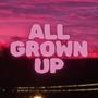 ALL GROWN UP (feat. Meekz) [Explicit]