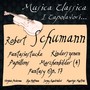 Schumann: Fantasiestucke, Kinderszenen, Papillons, Marchenbilder 4, Fantasy Op. 17 (Musica classica - i capolavori...)