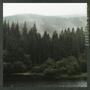 Evergreen Water