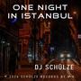 One Night in Istanbul