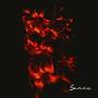 Sonne (Electronica)
