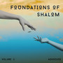 Foundations of Shalom, Vol. 1