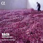 Bach: Suites anglaises (Alpha Collection)