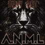 A.N.M.L (Explicit)